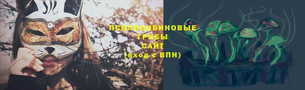 шишки Корсаков
