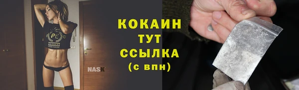 шишки Корсаков