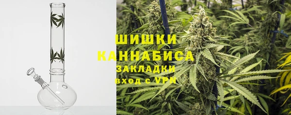 шишки Корсаков