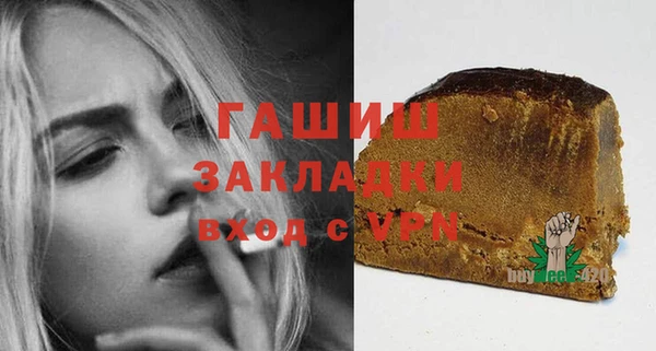 шишки Корсаков