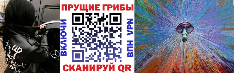 Галлюциногенные грибы ЛСД  OMG tor  Тимашёвск  где купить наркоту 
