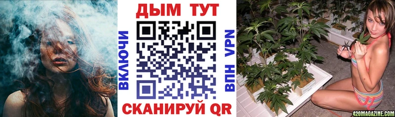сколько стоит  Тимашёвск  МЕГА вход  Конопля AK-47 